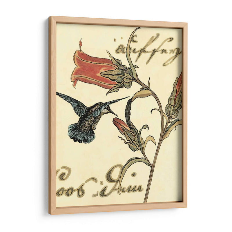 Small Hummingbird Reverie Iii - Vision Studio | Cuadro decorativo de Canvas Lab