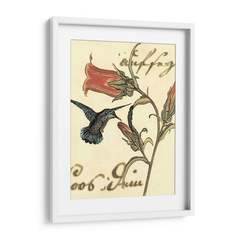 Small Hummingbird Reverie Iii - Vision Studio | Cuadro decorativo de Canvas Lab