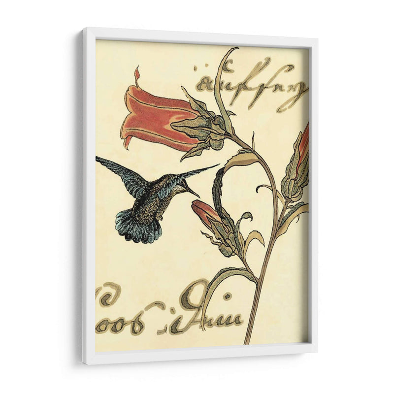 Small Hummingbird Reverie Iii - Vision Studio | Cuadro decorativo de Canvas Lab