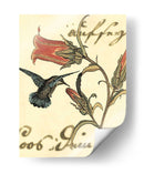 Small Hummingbird Reverie Iii - Vision Studio | Cuadro decorativo de Canvas Lab