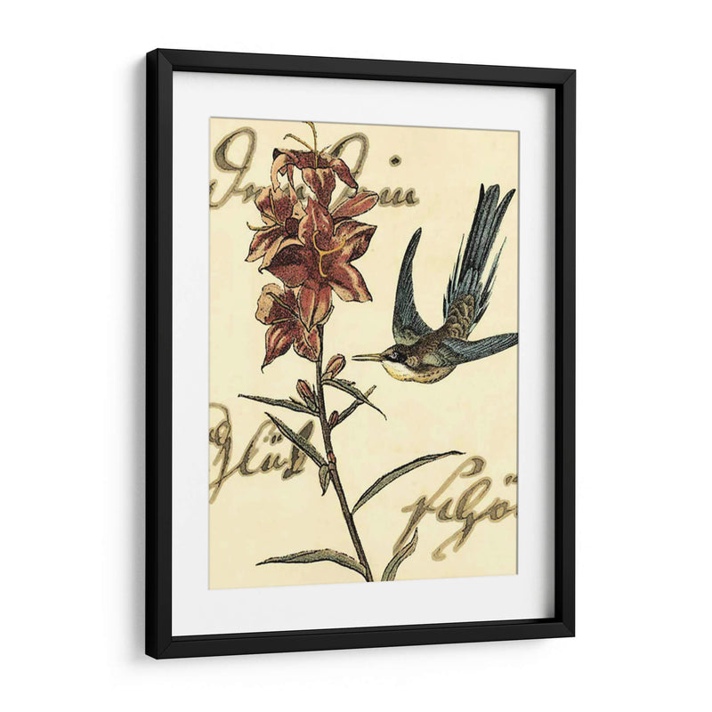 Small Hummingbird Reverie Iv - Vision Studio | Cuadro decorativo de Canvas Lab