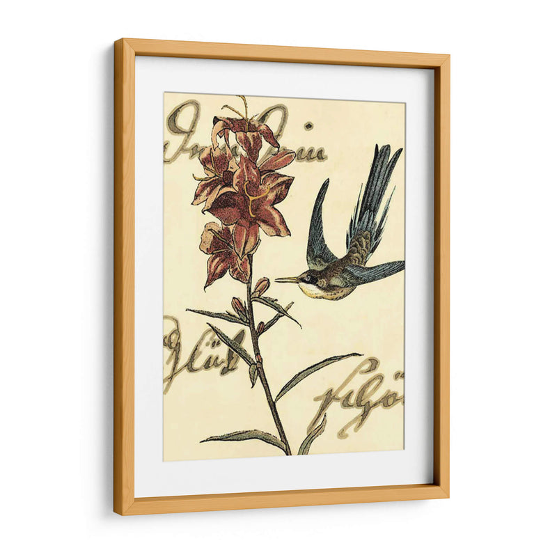 Small Hummingbird Reverie Iv - Vision Studio | Cuadro decorativo de Canvas Lab