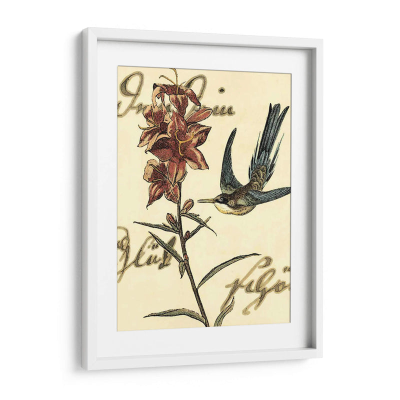 Small Hummingbird Reverie Iv - Vision Studio | Cuadro decorativo de Canvas Lab