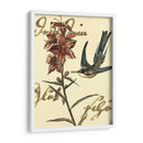Small Hummingbird Reverie Iv - Vision Studio | Cuadro decorativo de Canvas Lab