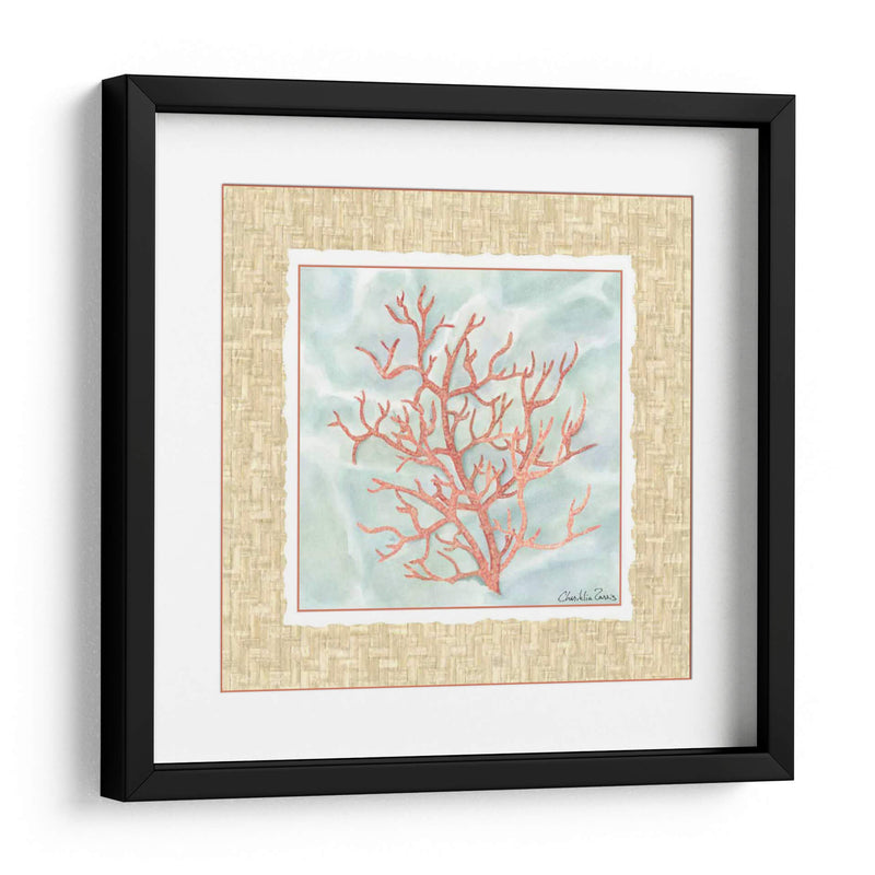 Ocean Coral - Chariklia Zarris | Cuadro decorativo de Canvas Lab