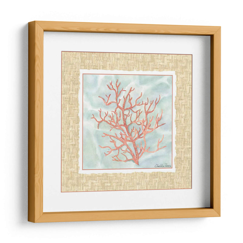 Ocean Coral - Chariklia Zarris | Cuadro decorativo de Canvas Lab