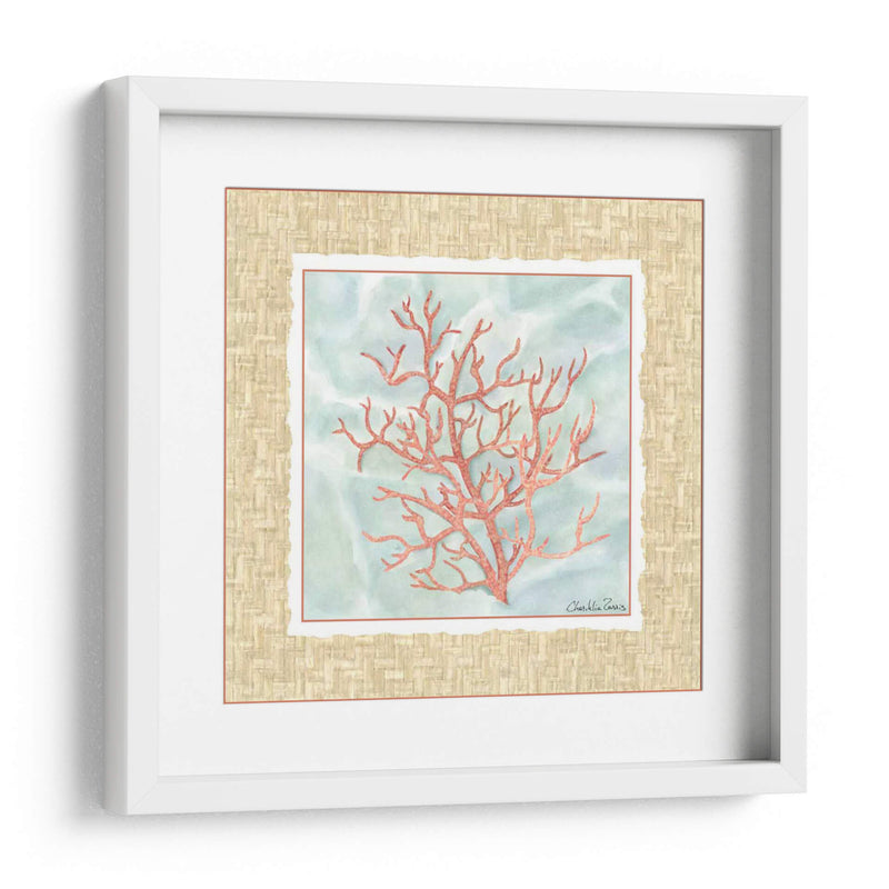 Ocean Coral - Chariklia Zarris | Cuadro decorativo de Canvas Lab
