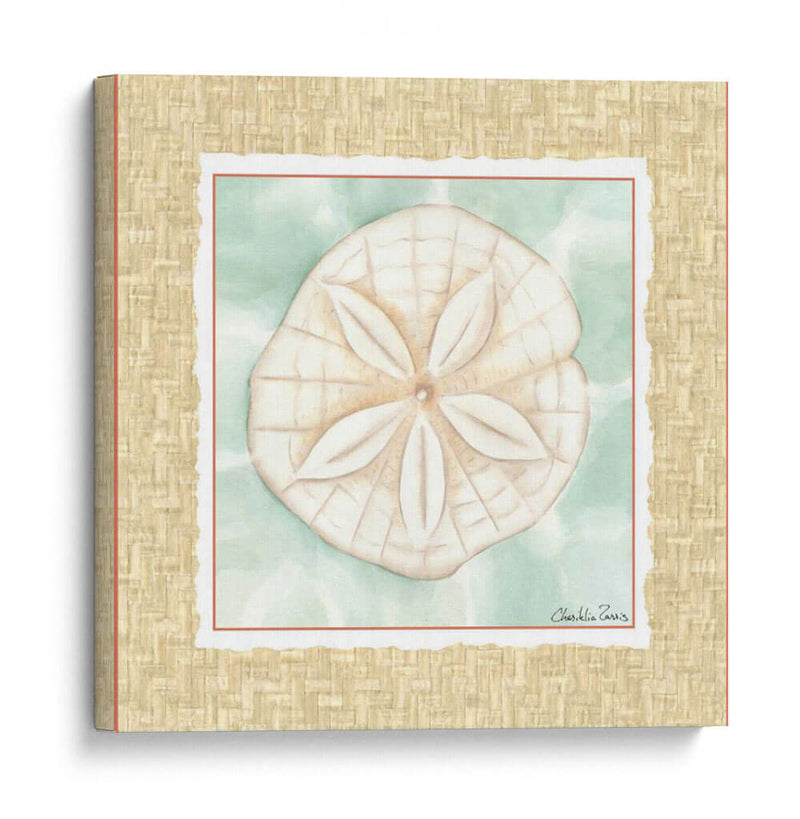 Ocean Sanddollar - Chariklia Zarris | Cuadro decorativo de Canvas Lab