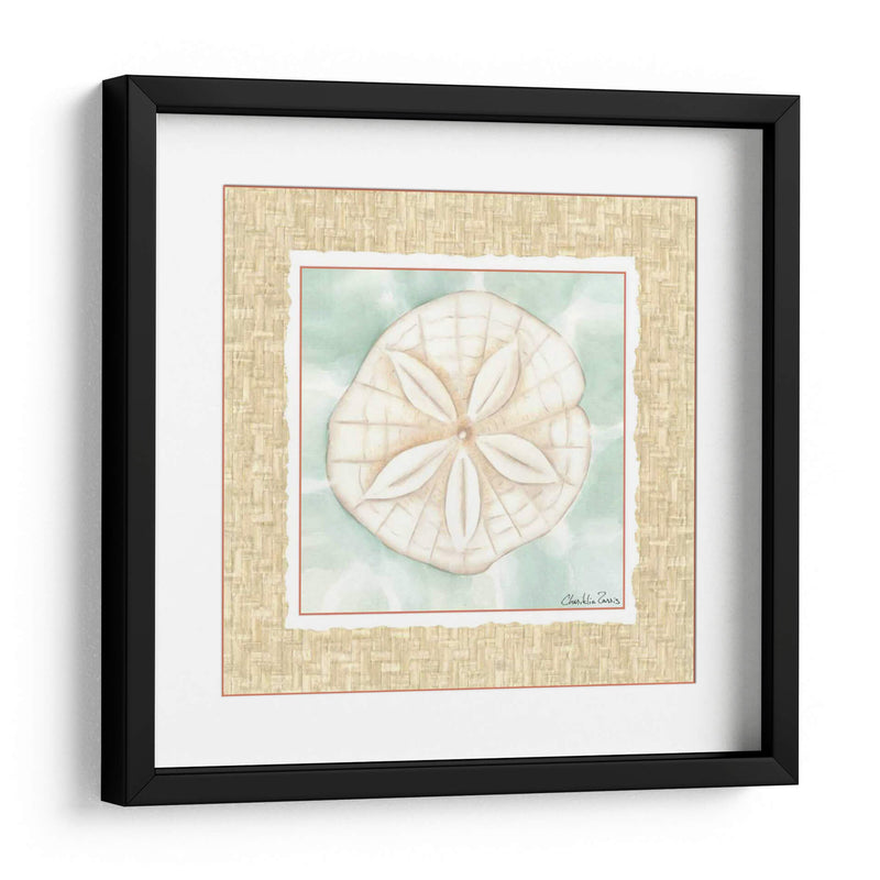 Ocean Sanddollar - Chariklia Zarris | Cuadro decorativo de Canvas Lab