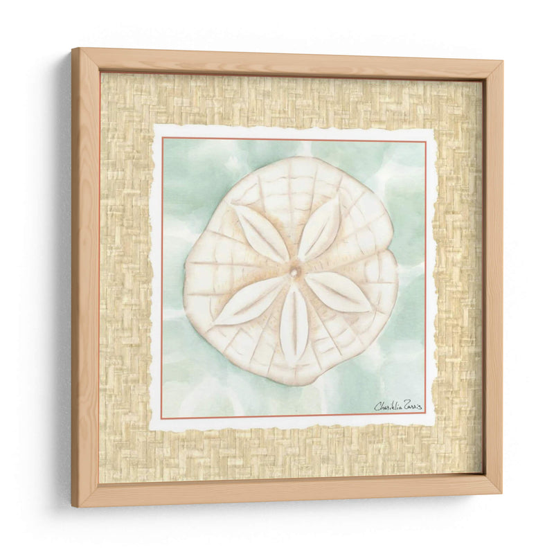 Ocean Sanddollar - Chariklia Zarris | Cuadro decorativo de Canvas Lab