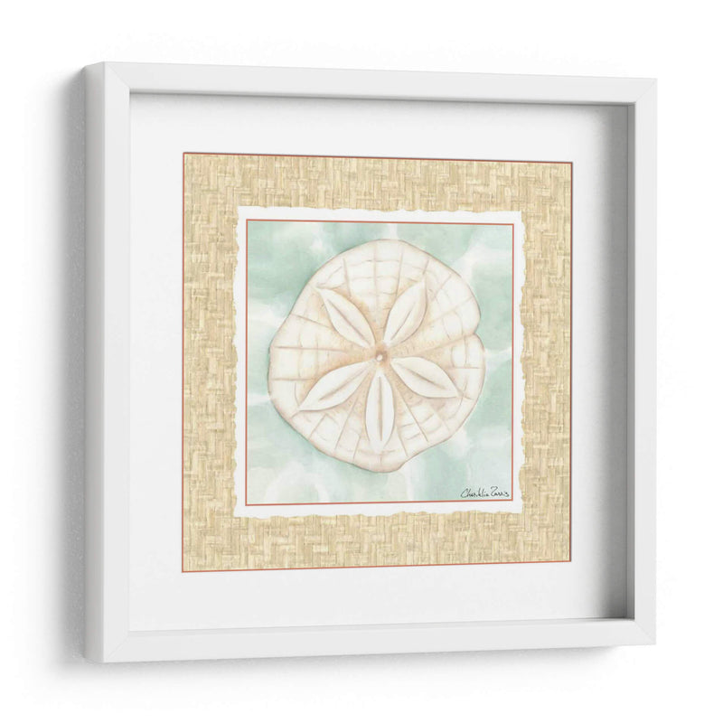 Ocean Sanddollar - Chariklia Zarris | Cuadro decorativo de Canvas Lab