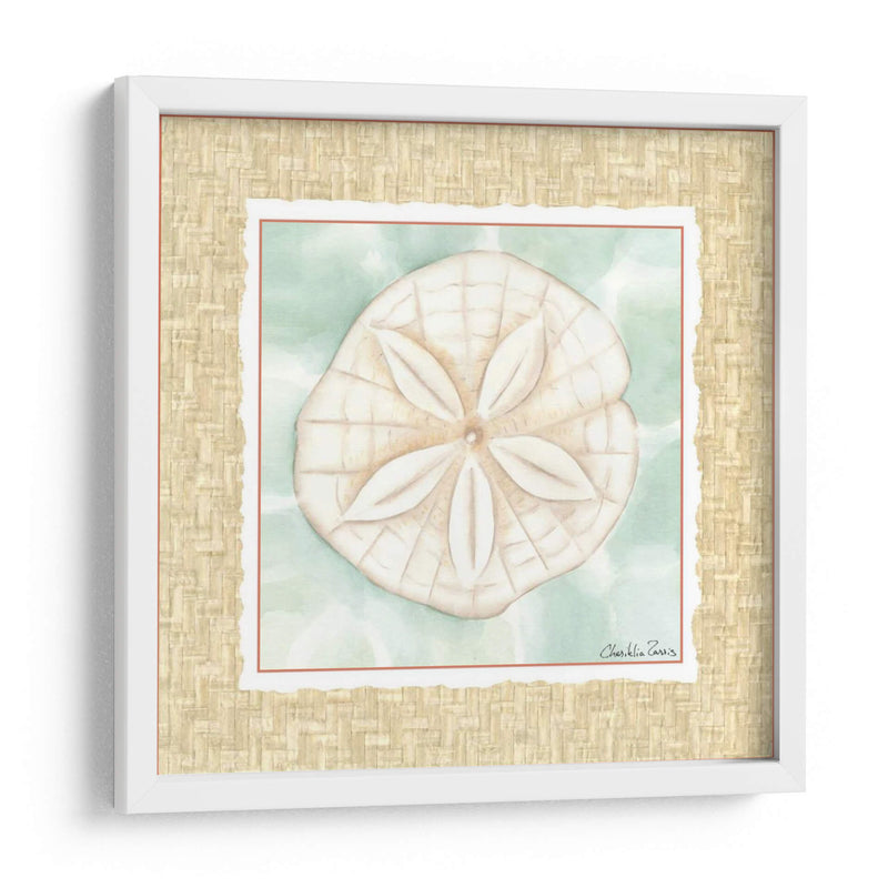 Ocean Sanddollar - Chariklia Zarris | Cuadro decorativo de Canvas Lab