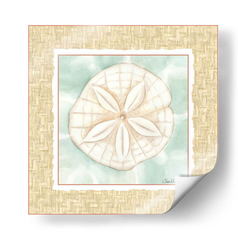 Ocean Sanddollar - Chariklia Zarris | Cuadro decorativo de Canvas Lab