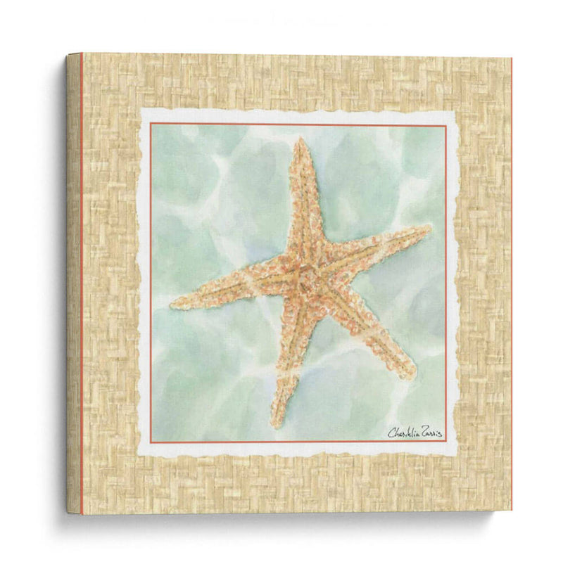 Ocean Starfish - Chariklia Zarris | Cuadro decorativo de Canvas Lab