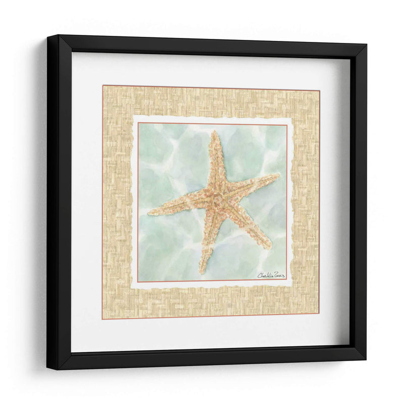 Ocean Starfish - Chariklia Zarris | Cuadro decorativo de Canvas Lab