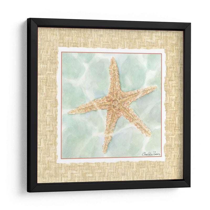 Ocean Starfish - Chariklia Zarris | Cuadro decorativo de Canvas Lab