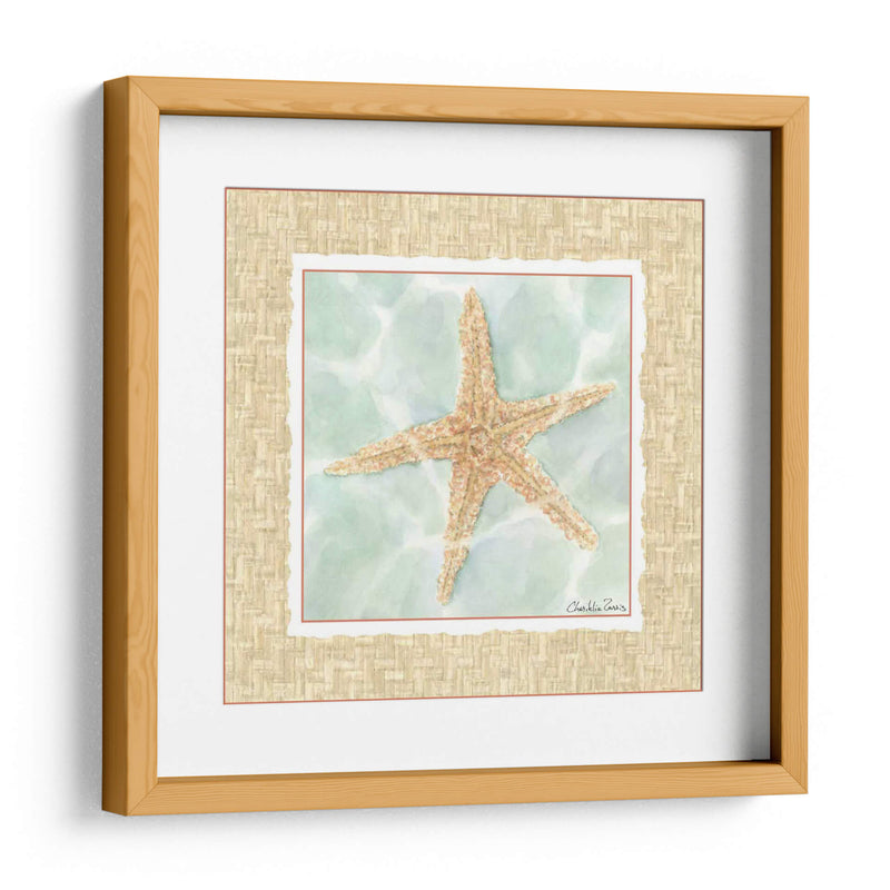 Ocean Starfish - Chariklia Zarris | Cuadro decorativo de Canvas Lab