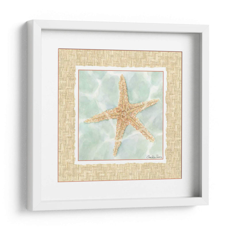 Ocean Starfish - Chariklia Zarris | Cuadro decorativo de Canvas Lab