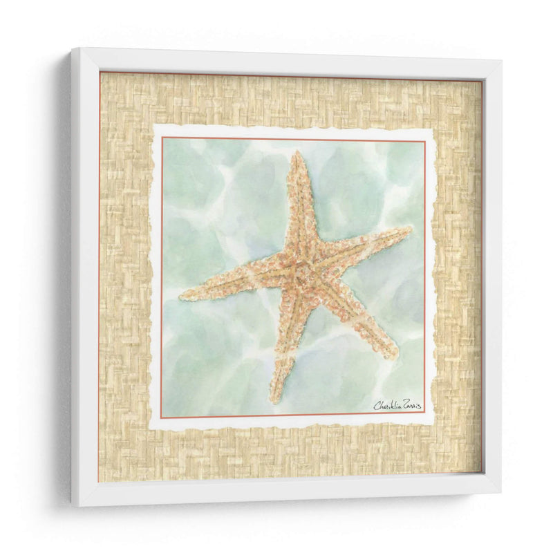 Ocean Starfish - Chariklia Zarris | Cuadro decorativo de Canvas Lab