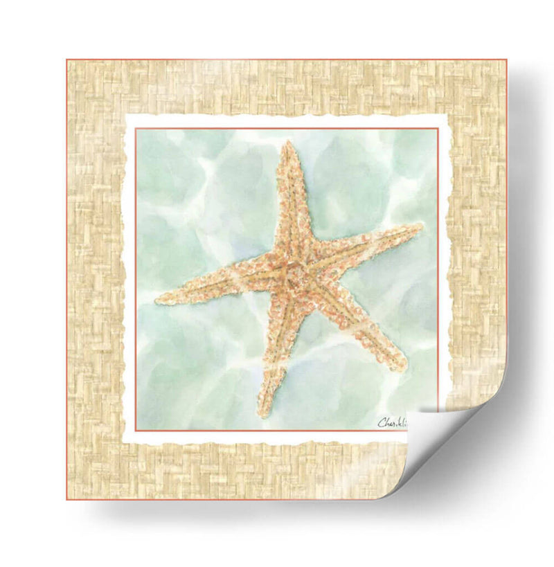 Ocean Starfish - Chariklia Zarris | Cuadro decorativo de Canvas Lab