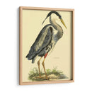 Pequeña Garza Azul - John Selby | Cuadro decorativo de Canvas Lab