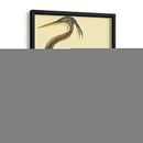 Pequeña Garza Púrpura - John Selby | Cuadro decorativo de Canvas Lab