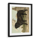 Mastín - Vero Shaw | Cuadro decorativo de Canvas Lab