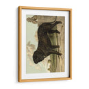 Mastín - Vero Shaw | Cuadro decorativo de Canvas Lab