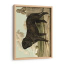 Mastín - Vero Shaw | Cuadro decorativo de Canvas Lab