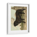 Mastín - Vero Shaw | Cuadro decorativo de Canvas Lab