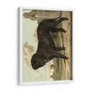Mastín - Vero Shaw | Cuadro decorativo de Canvas Lab