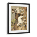 Perros De Toro - Vero Shaw | Cuadro decorativo de Canvas Lab