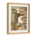 Perros De Toro - Vero Shaw | Cuadro decorativo de Canvas Lab