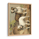 Perros De Toro - Vero Shaw | Cuadro decorativo de Canvas Lab