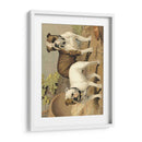 Perros De Toro - Vero Shaw | Cuadro decorativo de Canvas Lab