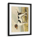 Zorro De Perro - Vero Shaw | Cuadro decorativo de Canvas Lab