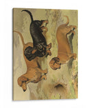 Dachshunds - Vero Shaw | Cuadro decorativo de Canvas Lab