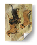 Dachshunds - Vero Shaw | Cuadro decorativo de Canvas Lab