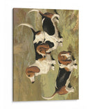 Basset Hounds - Vero Shaw | Cuadro decorativo de Canvas Lab