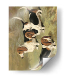 Basset Hounds - Vero Shaw | Cuadro decorativo de Canvas Lab