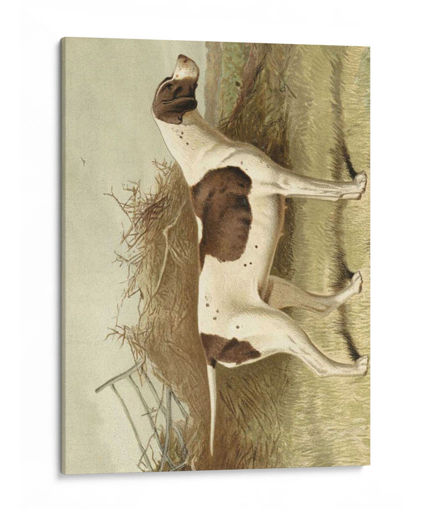 Puntero - Vero Shaw | Cuadro decorativo de Canvas Lab