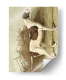 Puntero - Vero Shaw | Cuadro decorativo de Canvas Lab