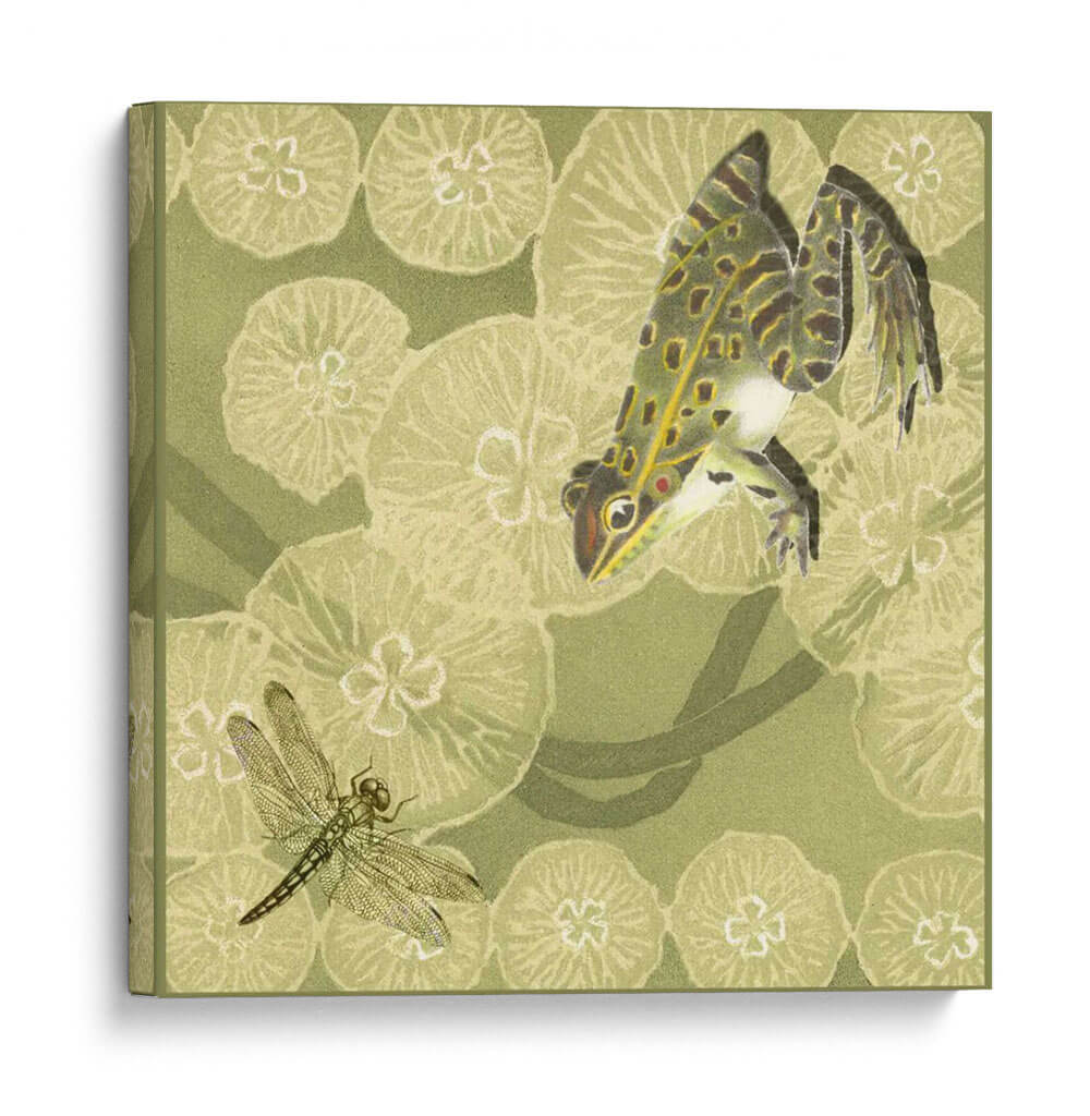 Fábula De Rana Ii - Vision Studio | Cuadro decorativo de Canvas Lab