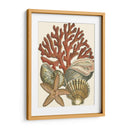Pequeño Coral Medley I - Vision Studio | Cuadro decorativo de Canvas Lab