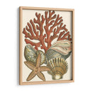 Pequeño Coral Medley I - Vision Studio | Cuadro decorativo de Canvas Lab