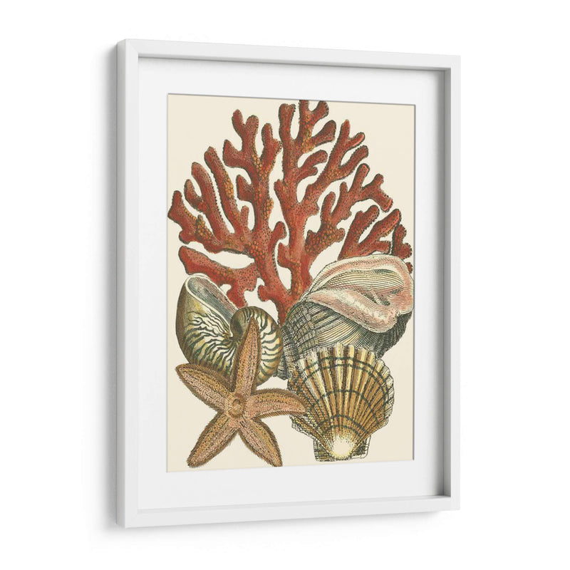 Pequeño Coral Medley I - Vision Studio | Cuadro decorativo de Canvas Lab