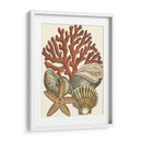 Pequeño Coral Medley I - Vision Studio | Cuadro decorativo de Canvas Lab