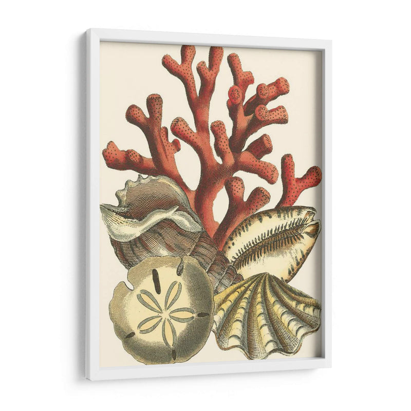 Pequeño Coral Medley Ii - Vision Studio | Cuadro decorativo de Canvas Lab