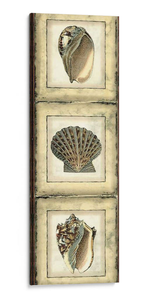 Mini Panel De Cáscara Rústica I - Vision Studio | Cuadro decorativo de Canvas Lab