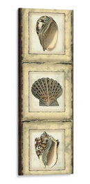 Mini Panel De Cáscara Rústica I - Vision Studio | Cuadro decorativo de Canvas Lab